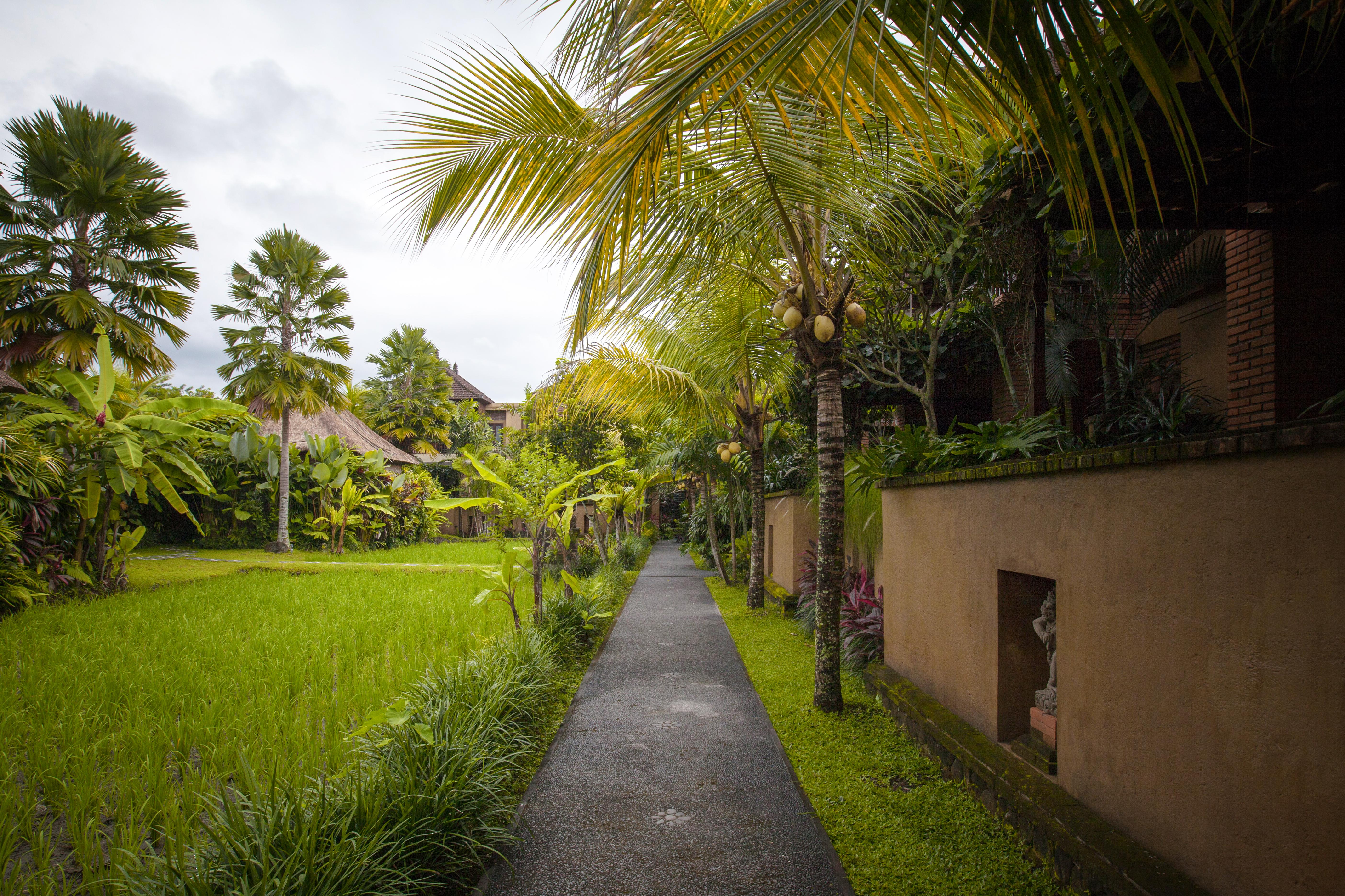 Bebek Tepi Sawah Restaurant & Villas Ubud Exterior foto